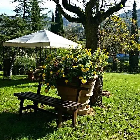 La Borraina * Impruneta
