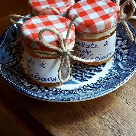 Bed & Breakfast La Borraina *