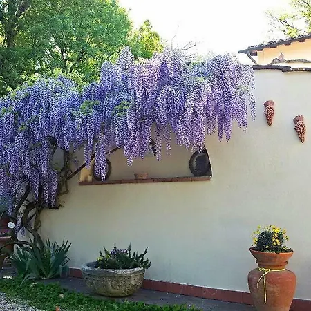 La Borraina Impruneta